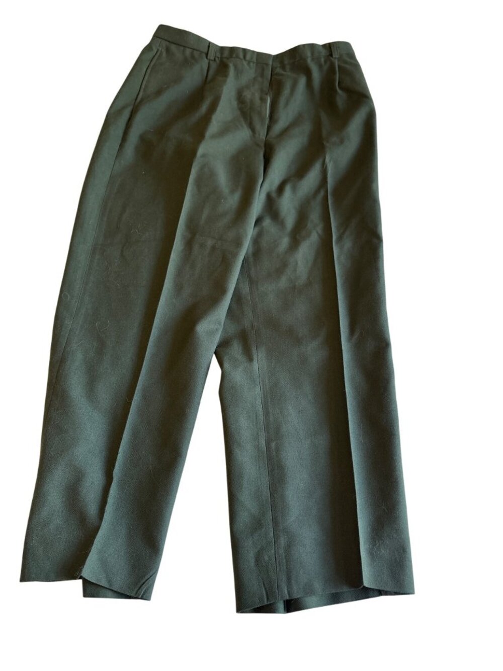 Womens Classic Green Wool Blend Dress Pants Size 16MT Army By DSCP
